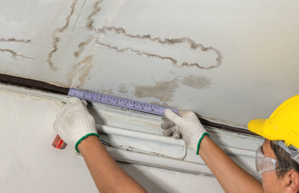 Reliable Water Damage Restoration contractor in Grifton, NC by Water Damage Irwin